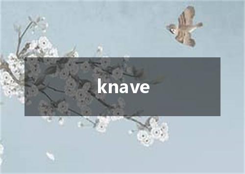 knave是什么意思