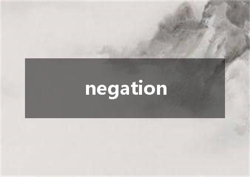 negation是什么意思