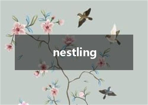 nestling是什么意思