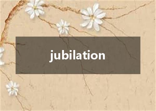jubilation是什么意思