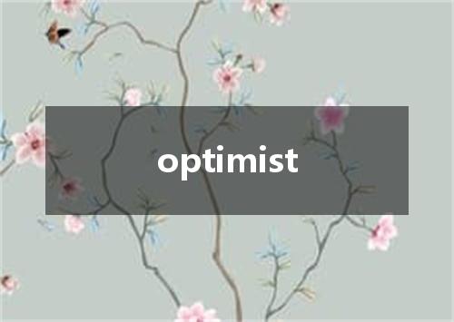 optimist是什么意思