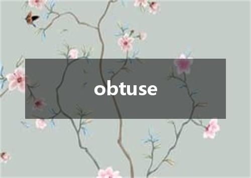 obtuse是什么意思