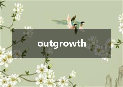outgrowth是什么意思
