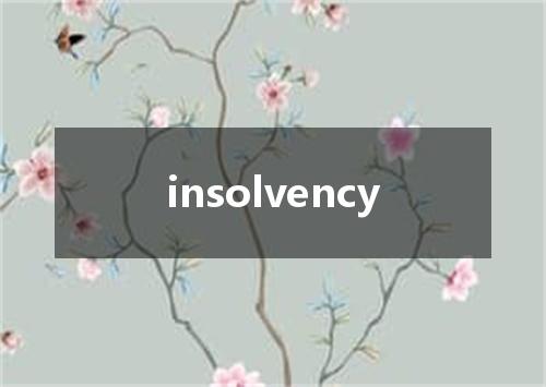 insolvency是什么意思