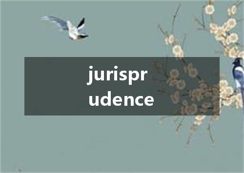 jurisprudence是什么意思