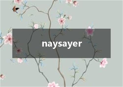 naysayer是什么意思