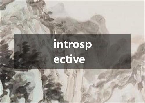 introspective是什么意思