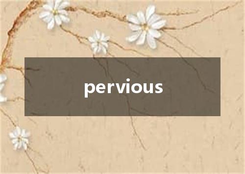 pervious是什么意思