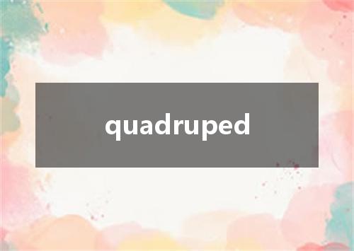 quadruped是什么意思