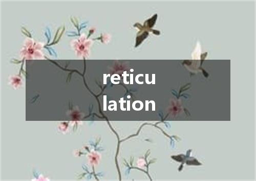 reticulation是什么意思