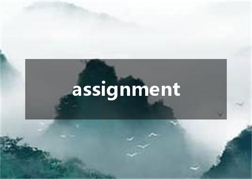 assignment是什么意思
