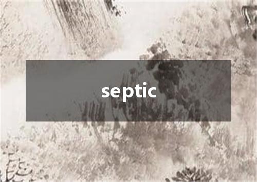 septic是什么意思
