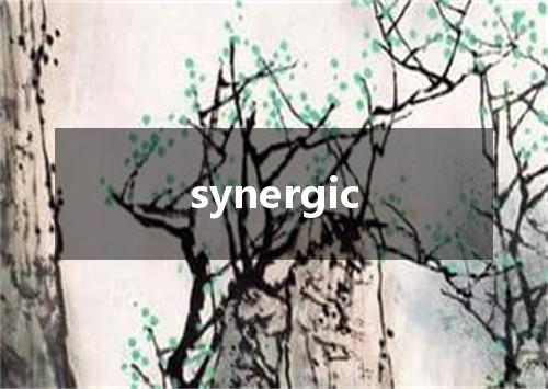 synergic是什么意思