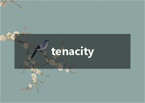 tenacity是什么意思