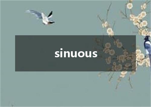 sinuous是什么意思
