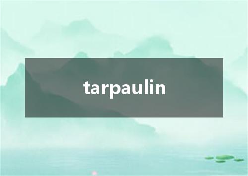 tarpaulin是什么意思