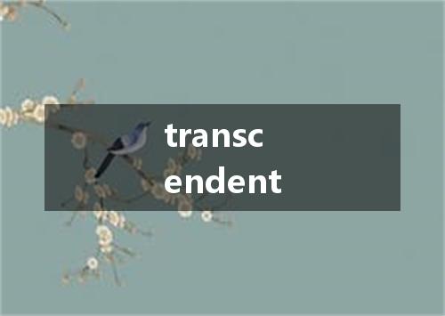 transcendent是什么意思