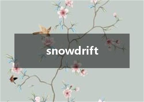 snowdrift是什么意思