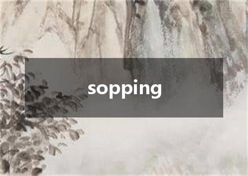 sopping是什么意思