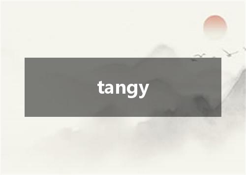 tangy是什么意思