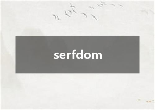 serfdom是什么意思