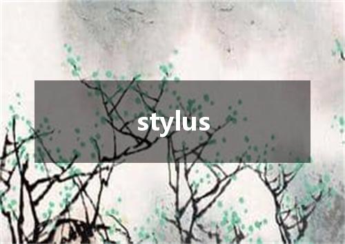 stylus是什么意思