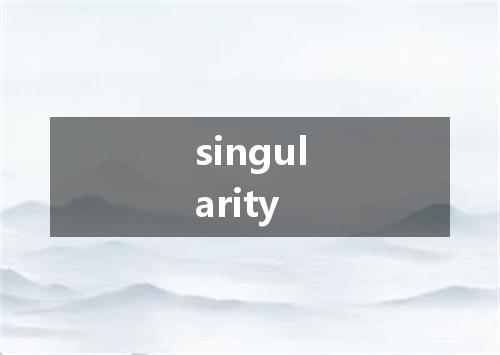 singularity是什么意思