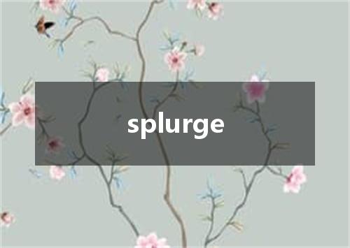splurge是什么意思