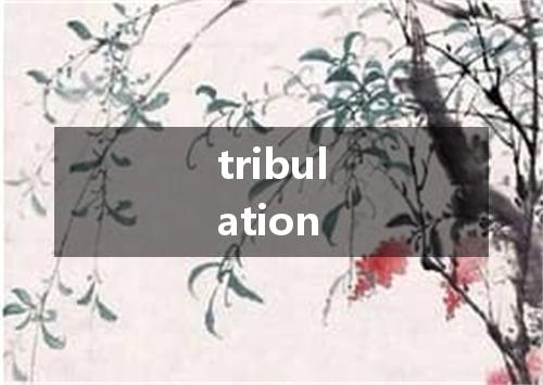 tribulation是什么意思