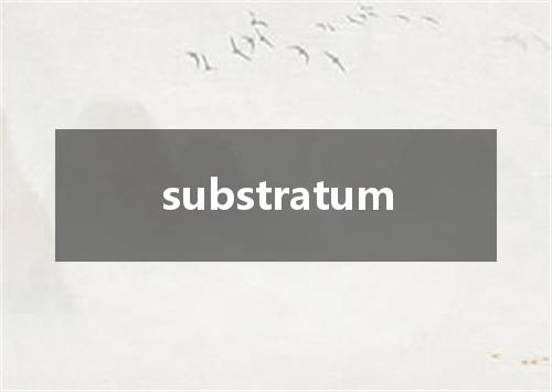 substratum是什么意思