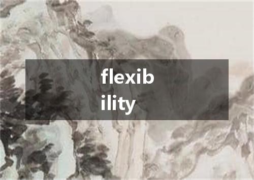 flexibility是什么意思