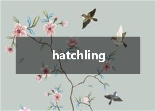 hatchling是什么意思