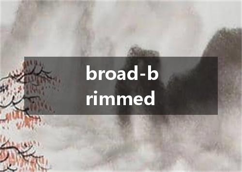 broad-brimmed是什么意思