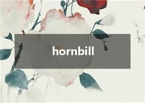 hornbill是什么意思