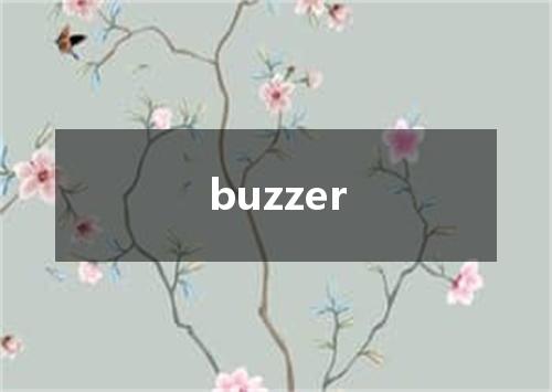 buzzer是什么意思