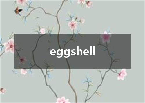 eggshell是什么意思