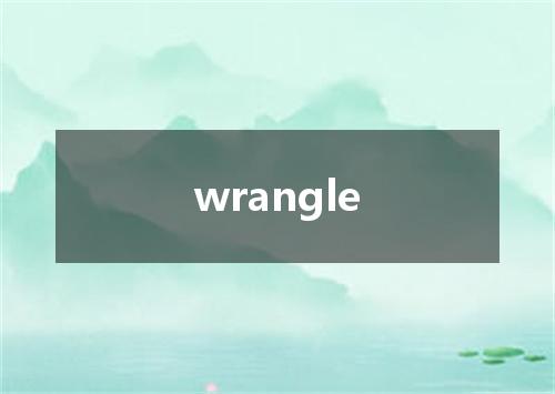 wrangle是什么意思