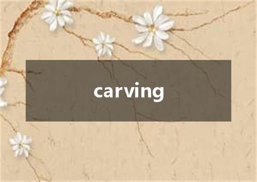 carving是什么意思