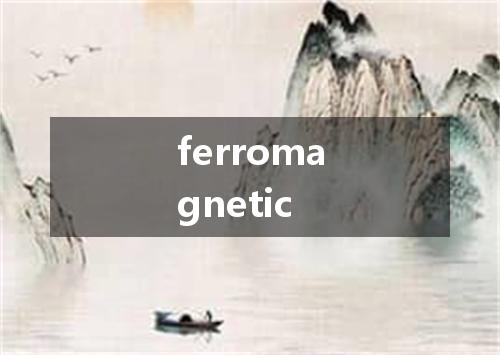 ferromagnetic是什么意思