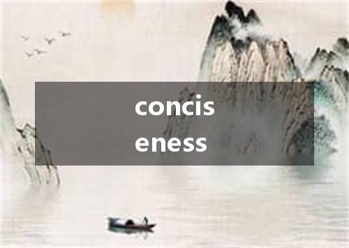 conciseness是什么意思
