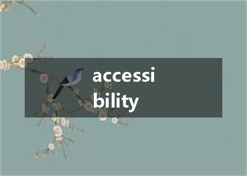 accessibility是什么意思