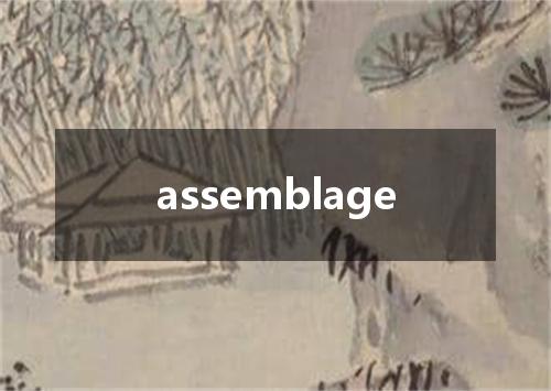 assemblage是什么意思