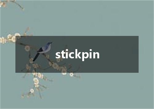 stickpin是什么意思