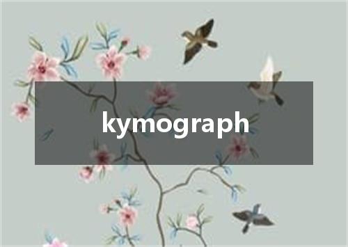 kymograph是什么意思