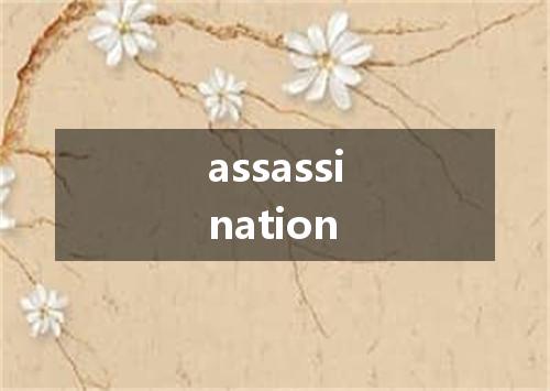 assassination是什么意思