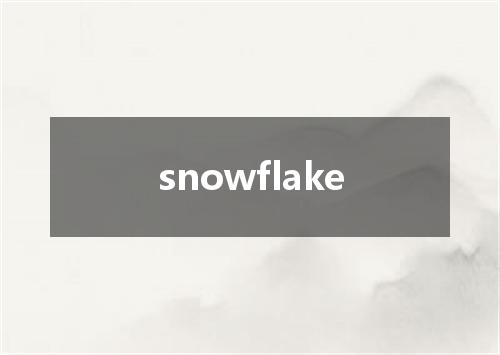 snowflake是什么意思