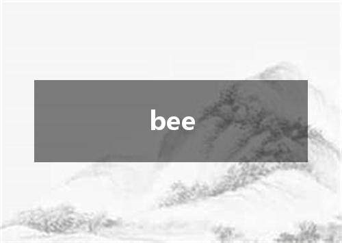 bee是什么意思