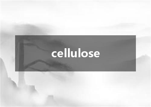 cellulose是什么意思