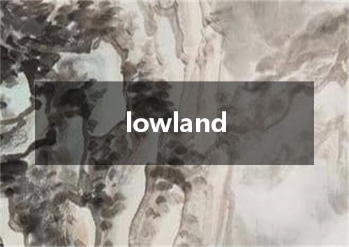 lowland是什么意思