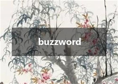 buzzword是什么意思